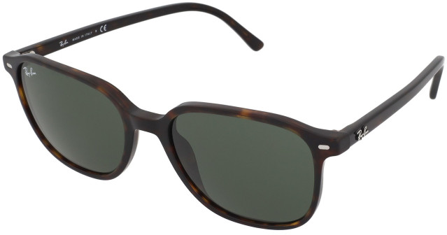 Ray Ban Leonard RB2193 902/31