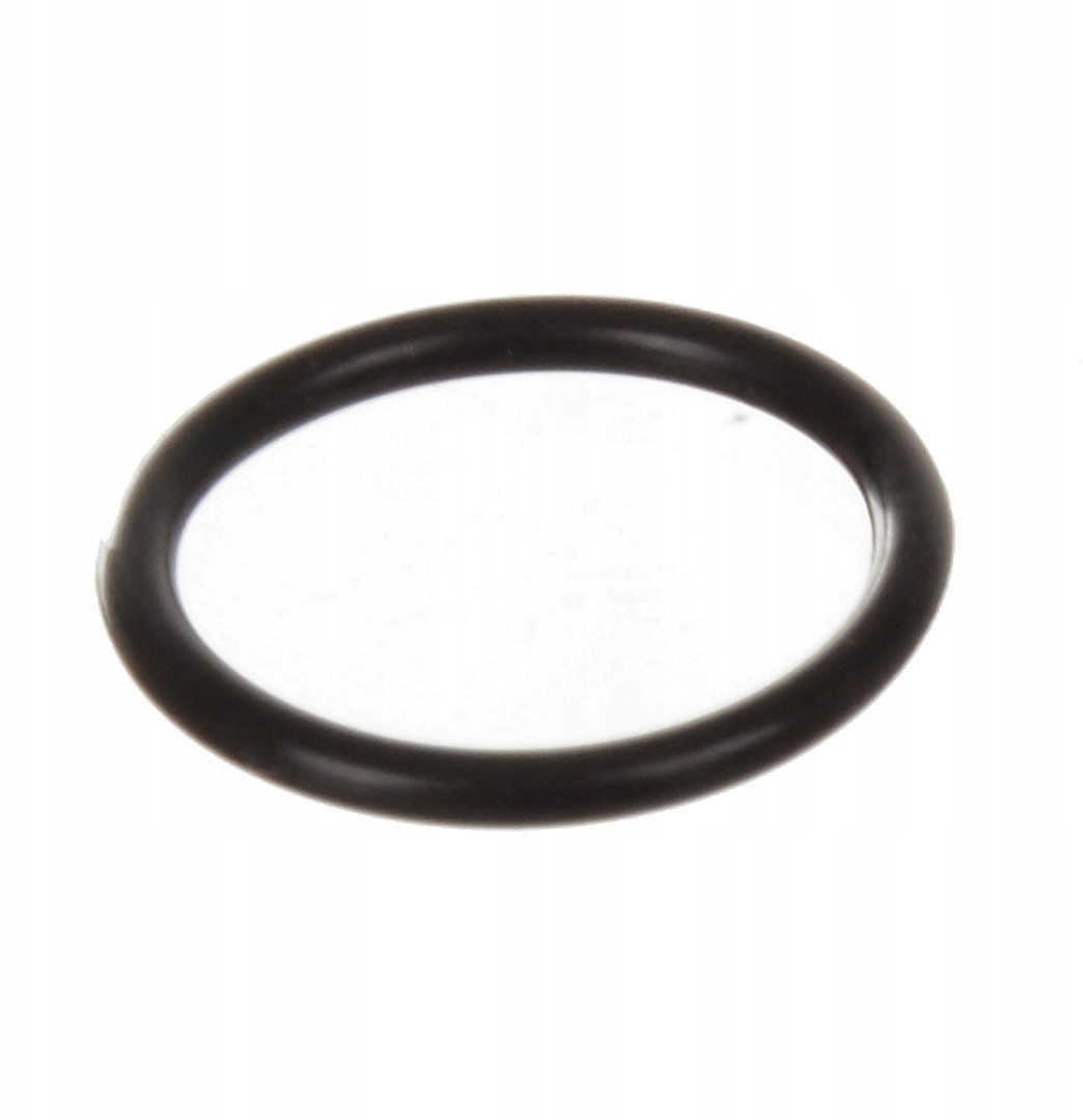 Karcher O-ring uszczelka do ssawki Puzzi 100 200