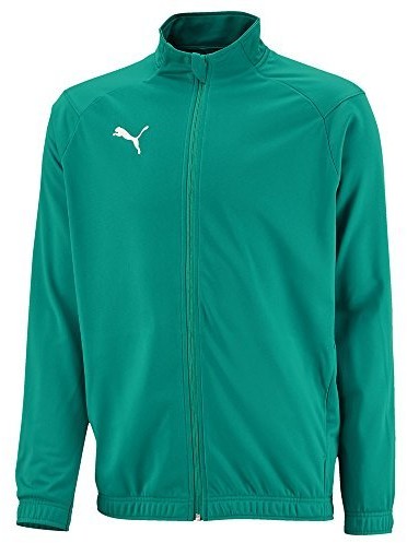 Puma kurtka ligi Sideline poli Core koszyk dla dzieci, zielony, 140 655947_05