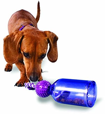 Premier BB Taj S Busy Buddy TUG A Jug S PTY00-13741