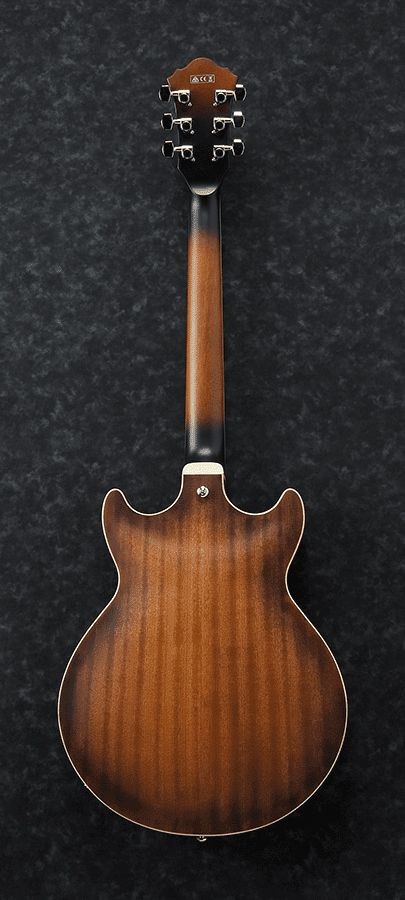 Ibanez AM53-TF - gitara elektryczna typu hollowbody