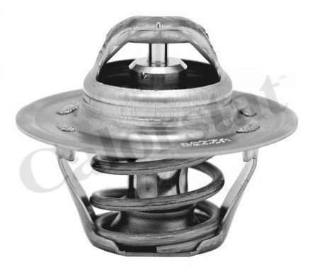 CALORSTAT Termostat, środek chłodzący CALORSTAT TH6276.87J