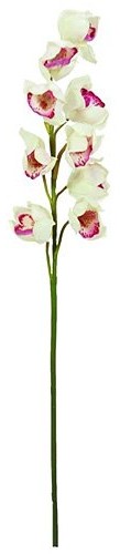 Europalms Euro Palms 82530312 cymbidium gałąź, 90 cm, biały/różowy 82530312
