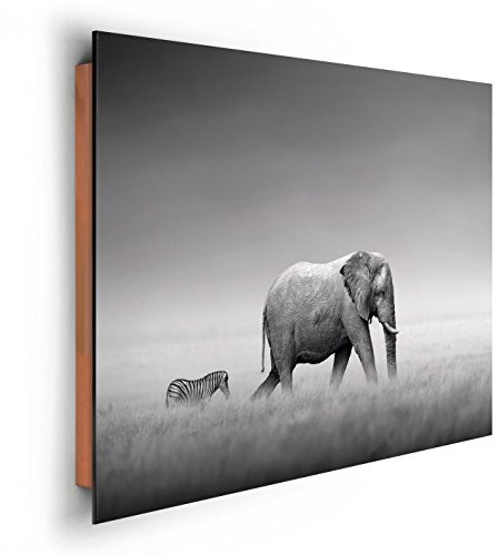 REINDERS Zebra  obraz ścienny 90 x 60 cm 27182