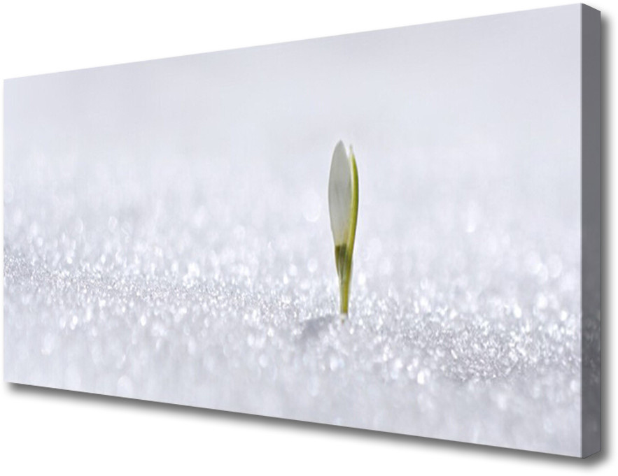 PL Tulup Obraz Canvas Przebiśnieg Śnieg Zima 120x60cm