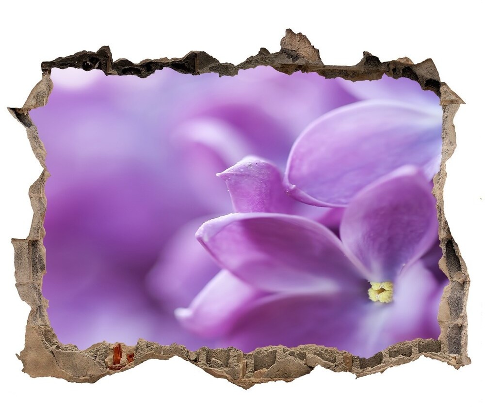 Wallmuralia.pl Samoprzylepna dziura na ścianę Kwiaty bzu