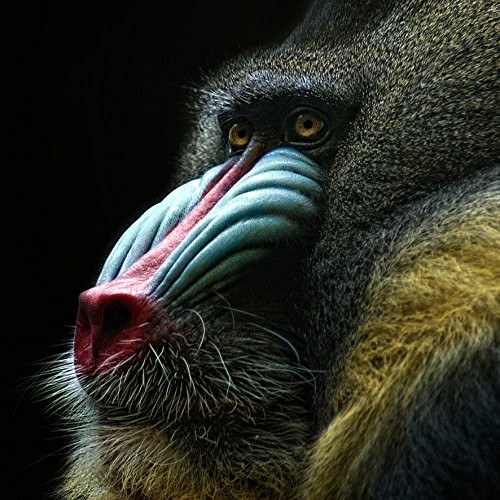 Pro-Art-Bilderpalette Pro-Art g1856b obraz ścienny Giclee 