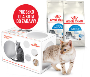 Royal Canin bytówka ROYAL CANIN Indoor 2x2kg + pudełko 229110