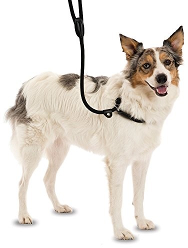 Company of Animals clb1 Clix 3 in 1 Slip Lead, brązowy, mały 1.2 m