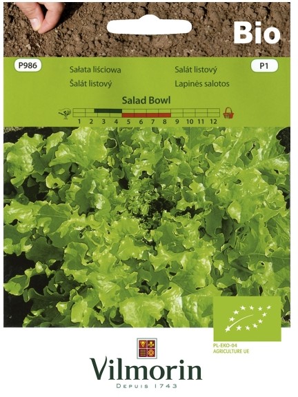 Vilmorin Nasiona sałata liściowa Salad Bowl