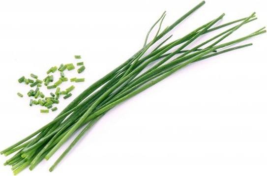 Veritable Veritable wkład nasienny Lingot - szczypiorek VE-0068263