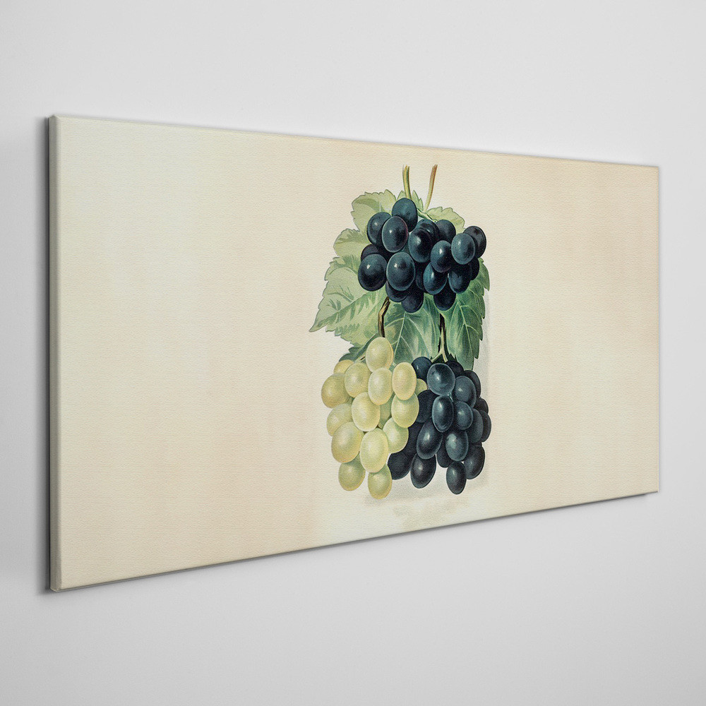 PL Coloray Obraz Canvas owoce winogrona liście 120x60cm