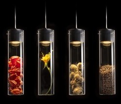 Rendl GARNISH wisząca R11756 szkło przezroczyste/chrom