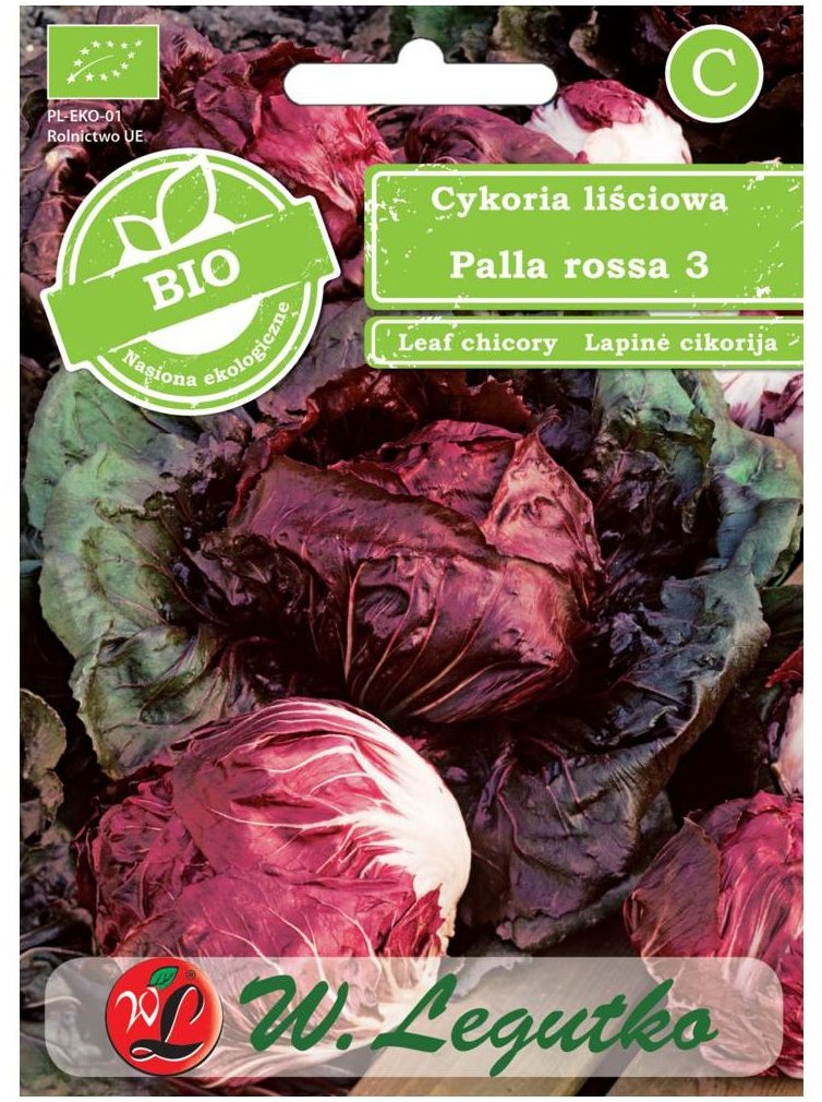 Legutko Cykoria liściowa nasiona BIO Palla rossa