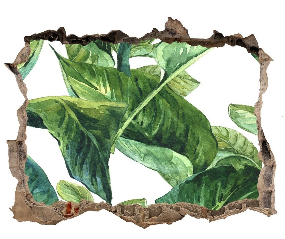 Wallmuralia.pl Dziura 3d foto tapeta naklejka Wielbłąd w Kairze