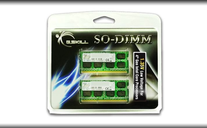 G.Skill 8GB F3-1600C11D-8GSL