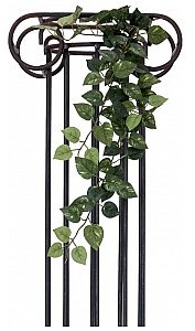 Europalms EUROPALMS Pothos krzew girlanda classic, sztuczny, 70 cm 82502201