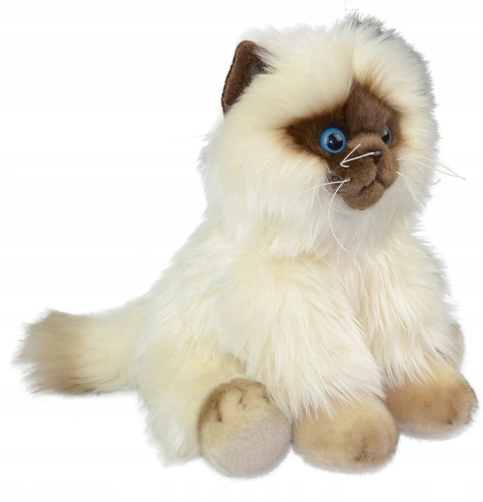Smily Maskotka Kot Syjamski Pluszowy Siamese 30CM