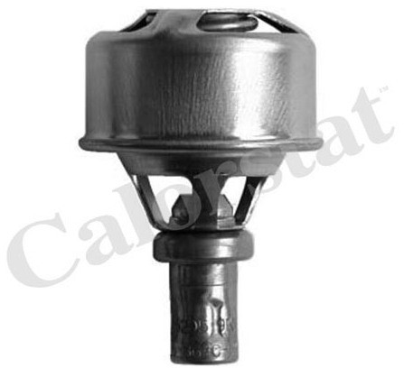CALORSTAT Termostat, środek chłodzący CALORSTAT TH4495.83