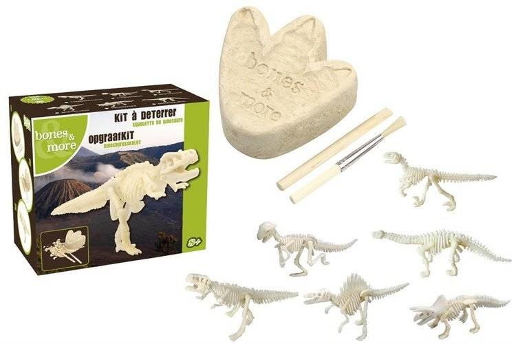 Geo Kids/Navir/DAM Bones&More, Duży szkielet dinozaura - wykopalisko odcisk łapy mokopico-1752-0