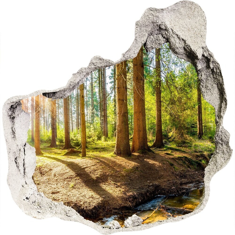 Wallmuralia.pl Dziura 3d w ścianie na ścianę Panorama las