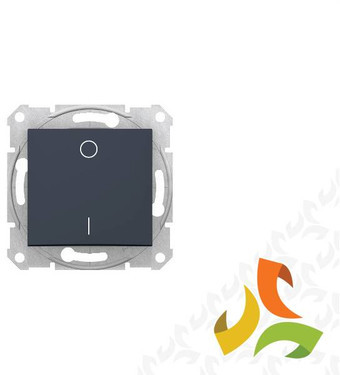 Schneider Electric SEDNA Wyłącznik 1 pojedynczy 2-biegunowy grafit SDN0200270 SDN0200270/SCH