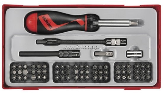 TENG TOOLS Zestaw grotów +wkrętak TTMD74 - 74szt. 144030103