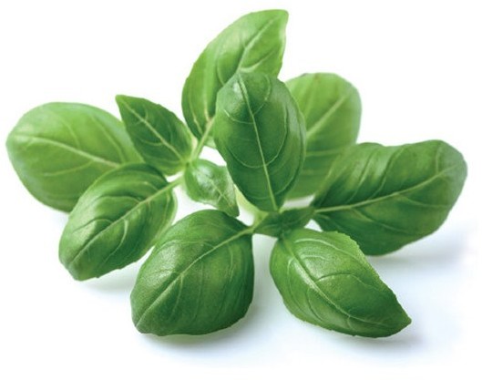 Click&Grow Kapsułki z nasionami Smart Soil 3 szt. bazylia 4742793007199