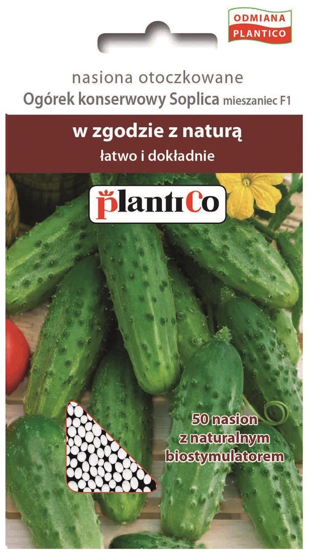 Plantico Ogórek Soplica otoczkowana