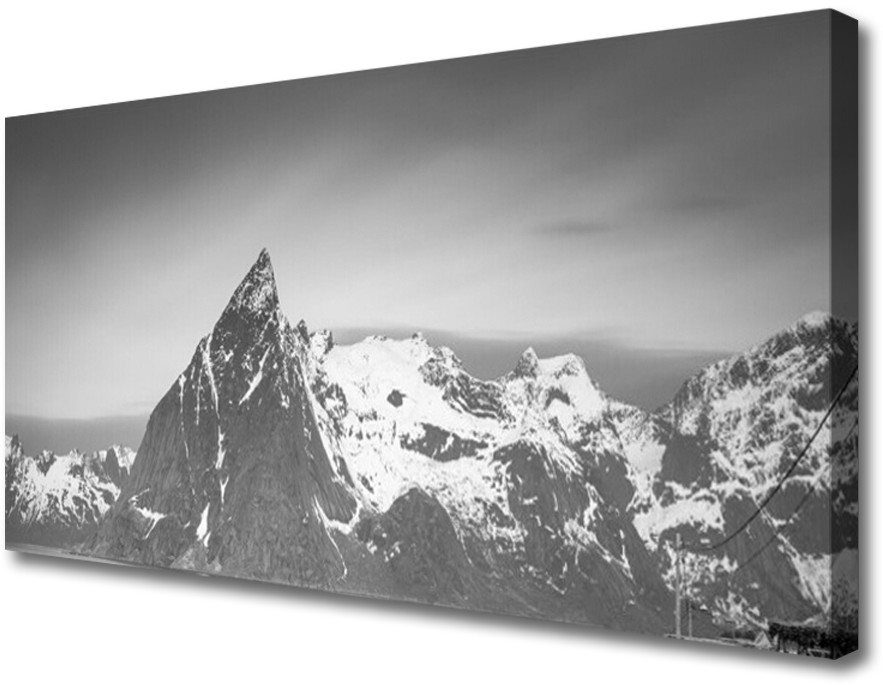 PL Tulup Obraz na Płótnie Góry Krajobraz 100x50cm