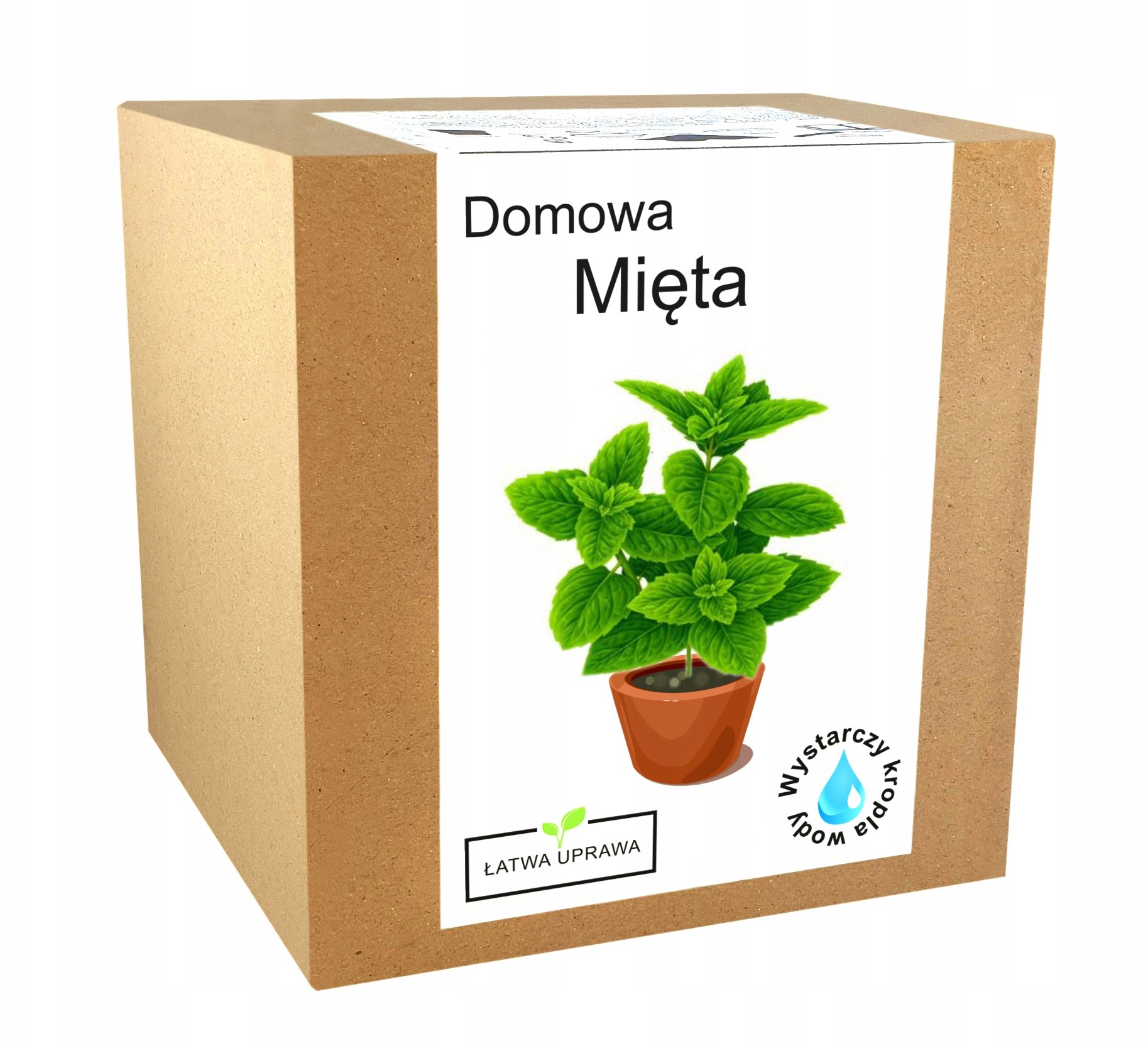 Zestaw do Uprawy Mięta Domowa Pieprzowa nasiona