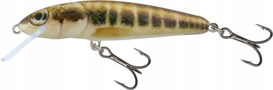 Salmo Wobler Minnow Pływający M 5cm 3g Okoń Pstrąg