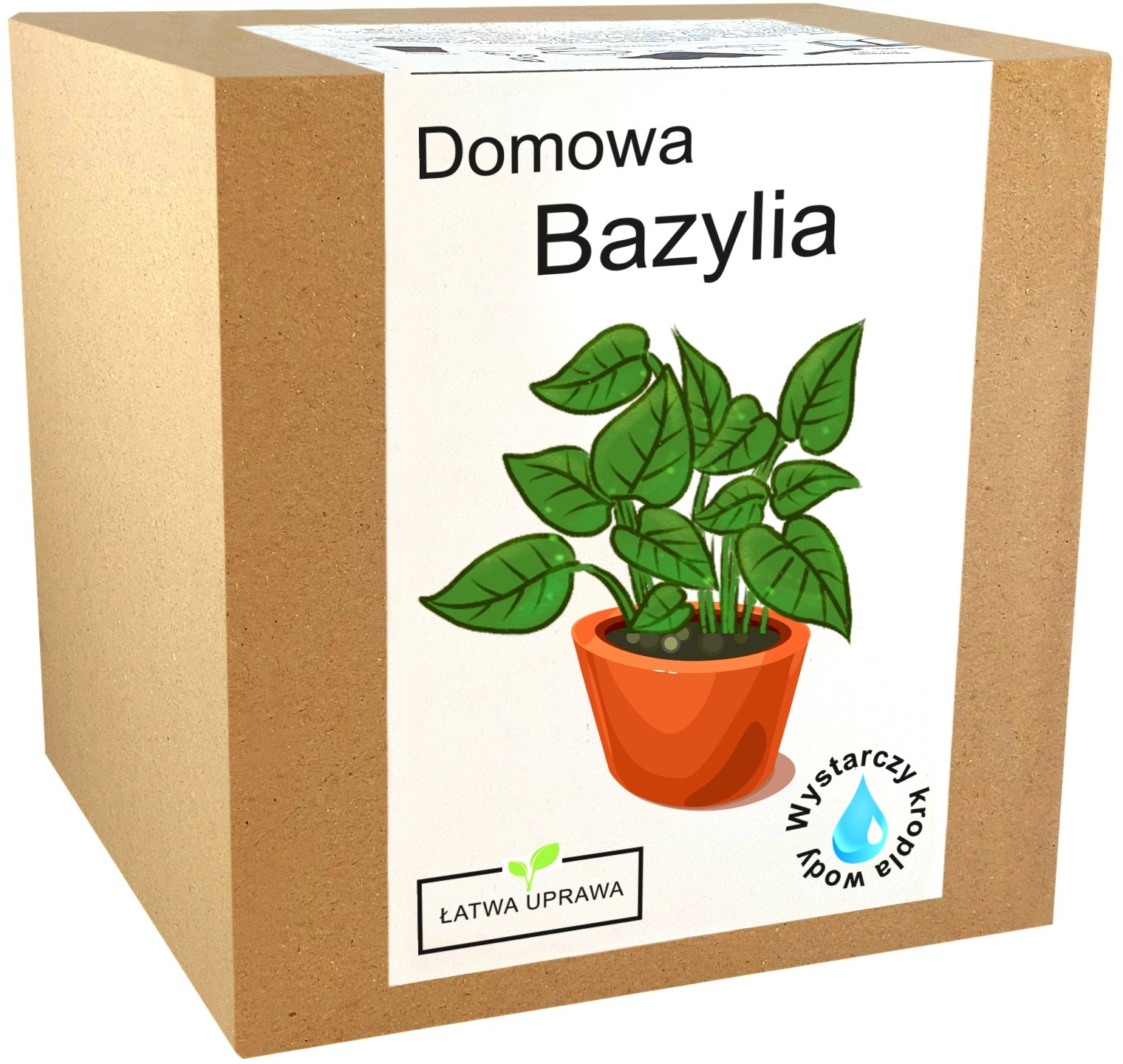 Zestaw do uprawy Bazylia nasiona przyprawy bazylii