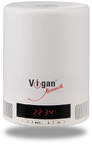 Vigan Mammoth vigan Mammoth BR1 głośnik Bluetooth 2-W-1 z technologią LED-światło białe BR1