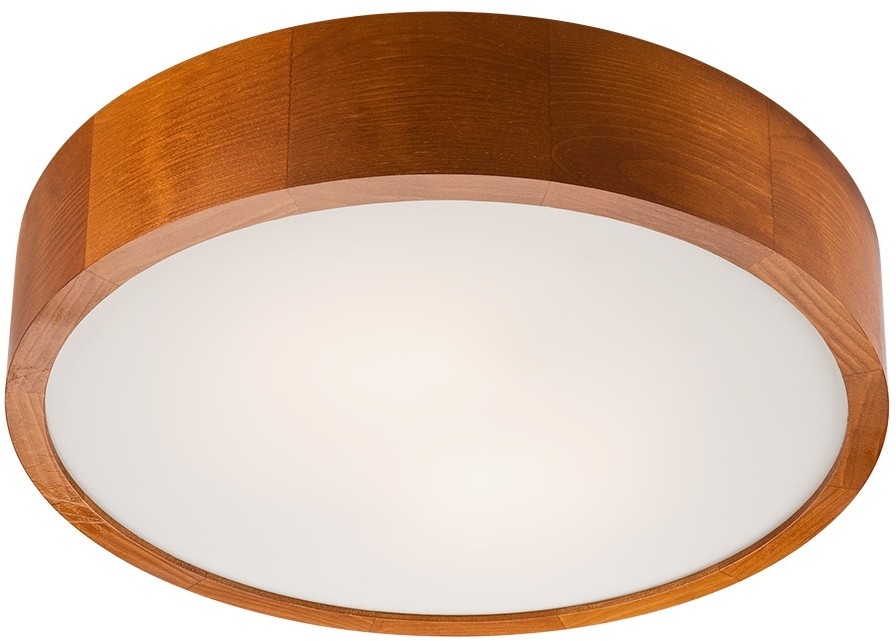 Lamkur LED Plafon 1xLED/24W/230V