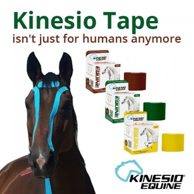 Oryginal Kinesio Tape dla koni i innych zwierząt (Equine) 850989002591