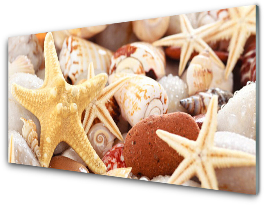 Tulup.pl Panel Szklany Rozgwiazda Muszle Plaża 100x50cm