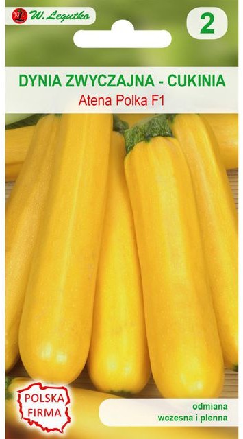 Legutko Dynia zwyczajna (Cukinia) ATENA POLKA F1