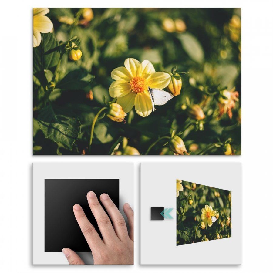 Pix4home Plakat metalowy żółte kwiaty M POS-M-01287