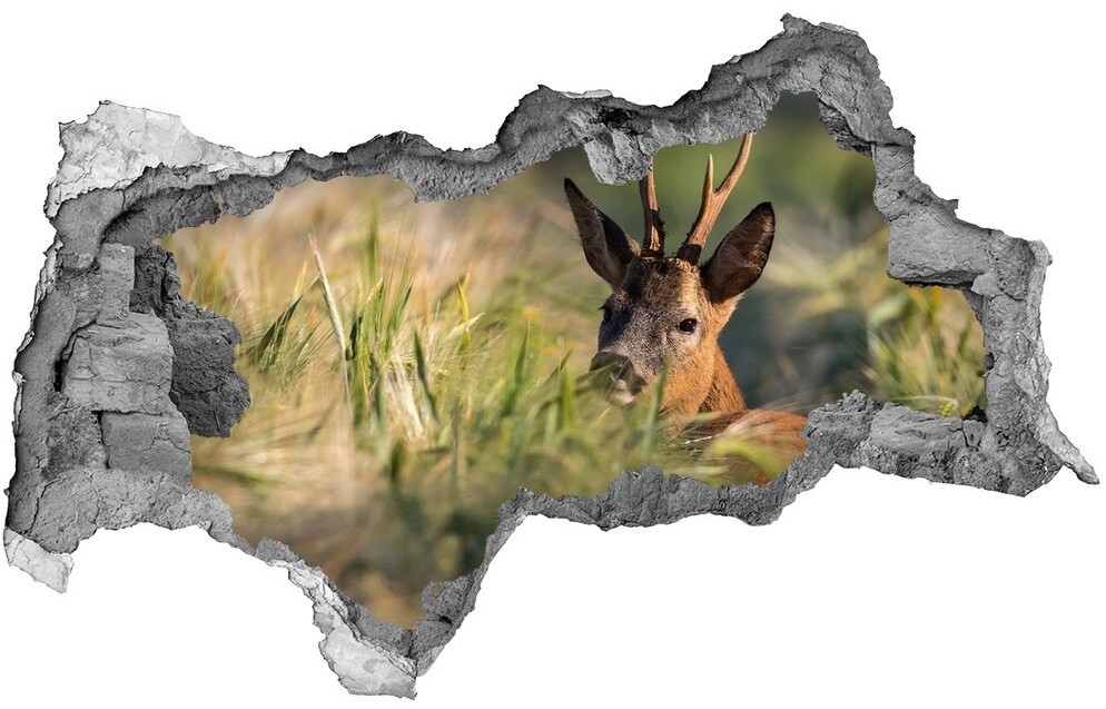 Wallmuralia.pl Dziura 3d fototapeta na ścianę Jeleń w polu