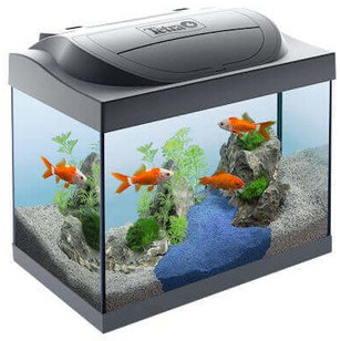 Tetra Starter Line LED 30 l Goldfish Zestaw Akwariowy dla Złotych Rybek DARMOWA DOSTAWA OD 95 ZŁ!