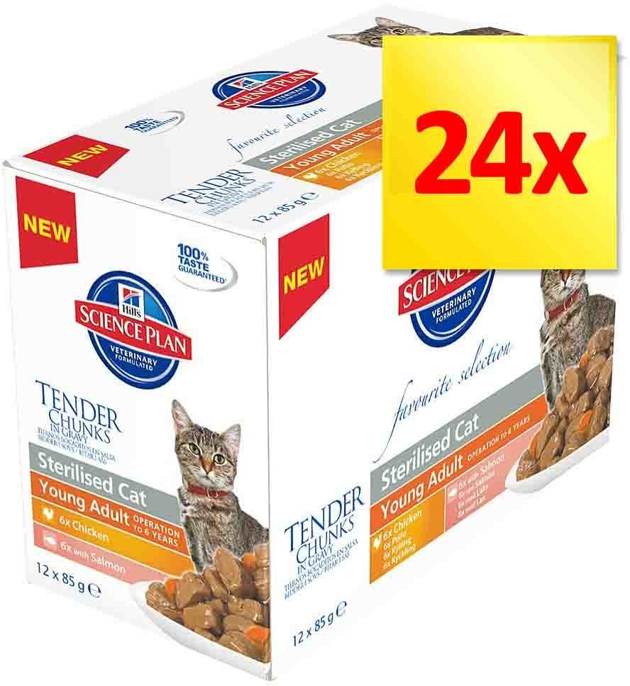 Hill`s Science Plan Zestaw Feline, 24 x 85 g - Kitten, drób i ryba