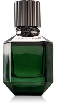 Roberto Cavalli Paradise Found woda toaletowa dla mężczyzn 50 ml