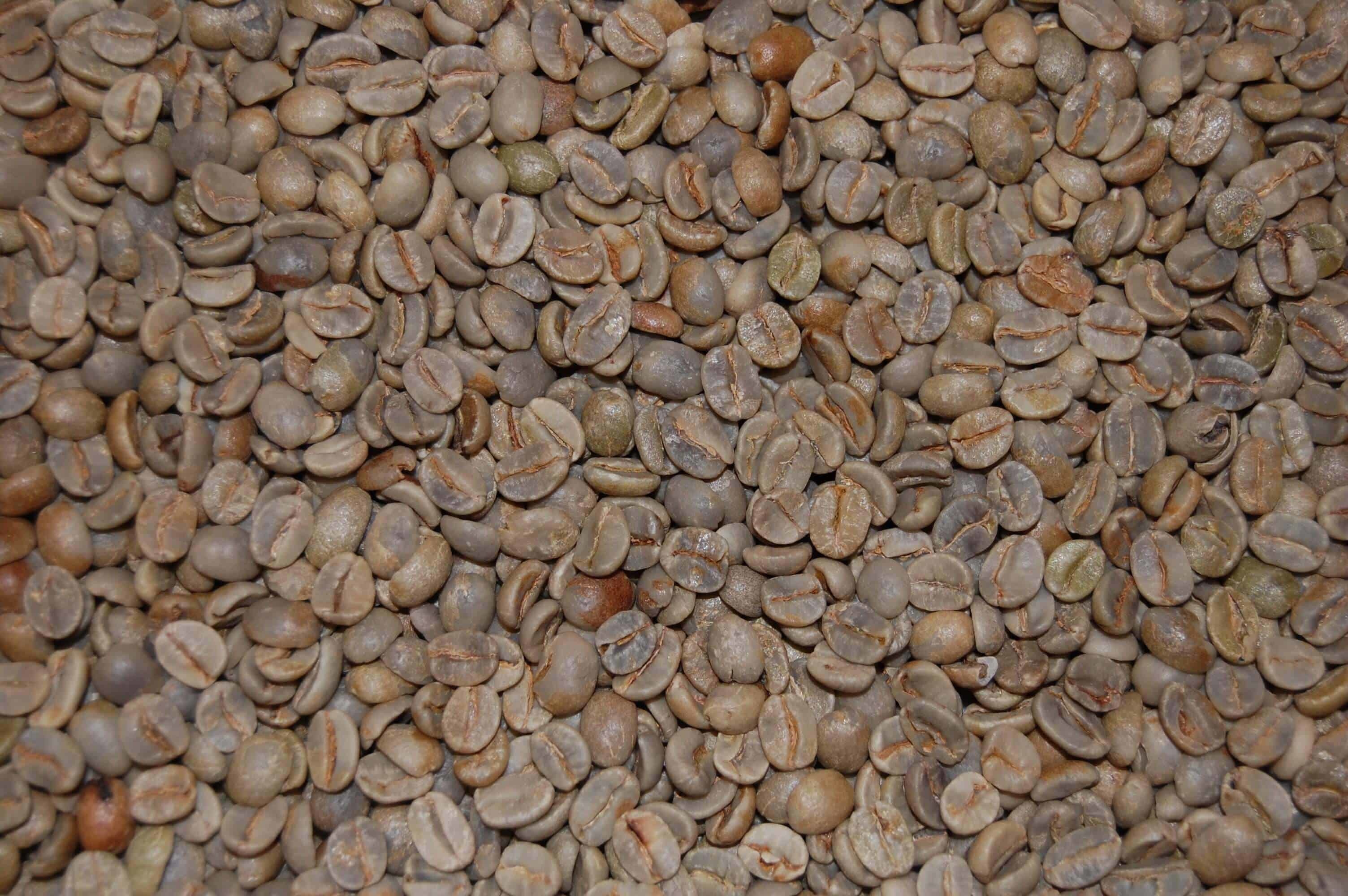 Santos Lezatcoffee Brazylia Arabica 100% - 1 kg