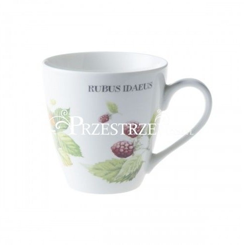 Ashdene KUBEK PORCELANOWY Marjolein Bastin - Owoce Jeżyny - DUŻY 460 ml W176707