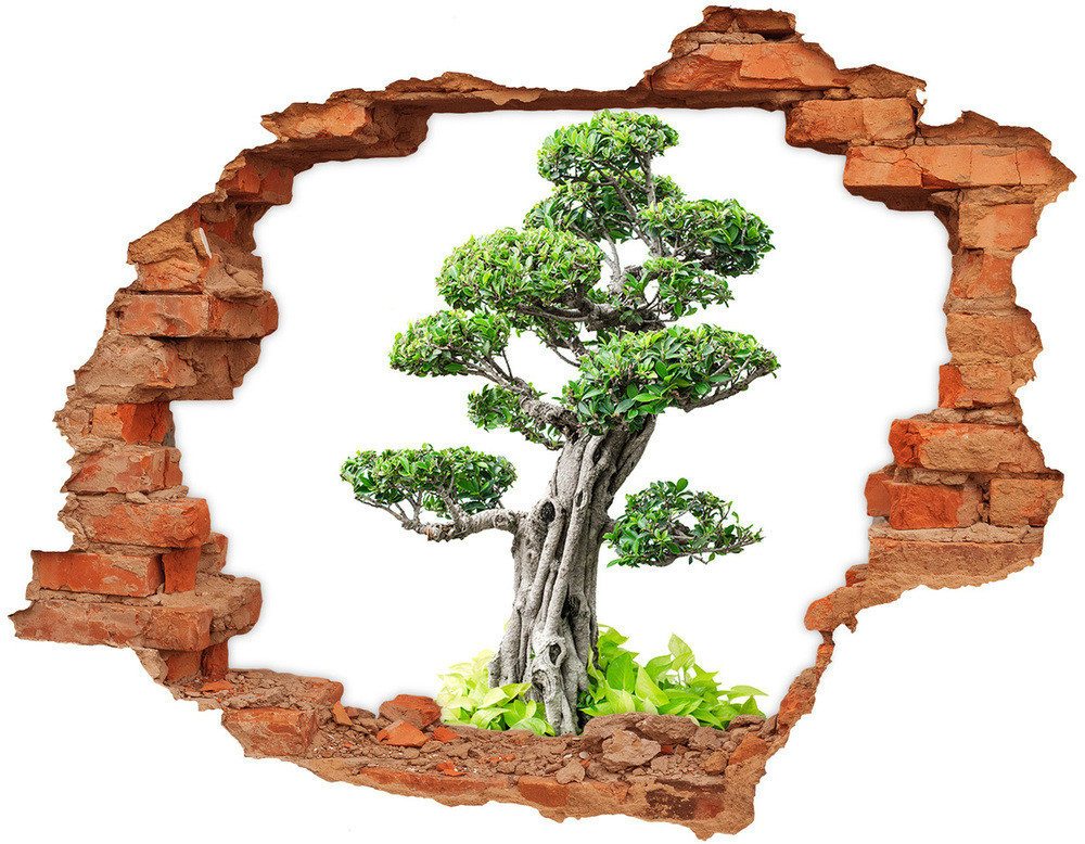 Wallmuralia.pl Samoprzylepna dziura na ścianę Drzewo bonsai