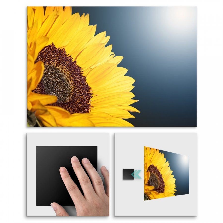 Pix4home Plakat metalowy słonecznik w słońcu L POS-L-01318