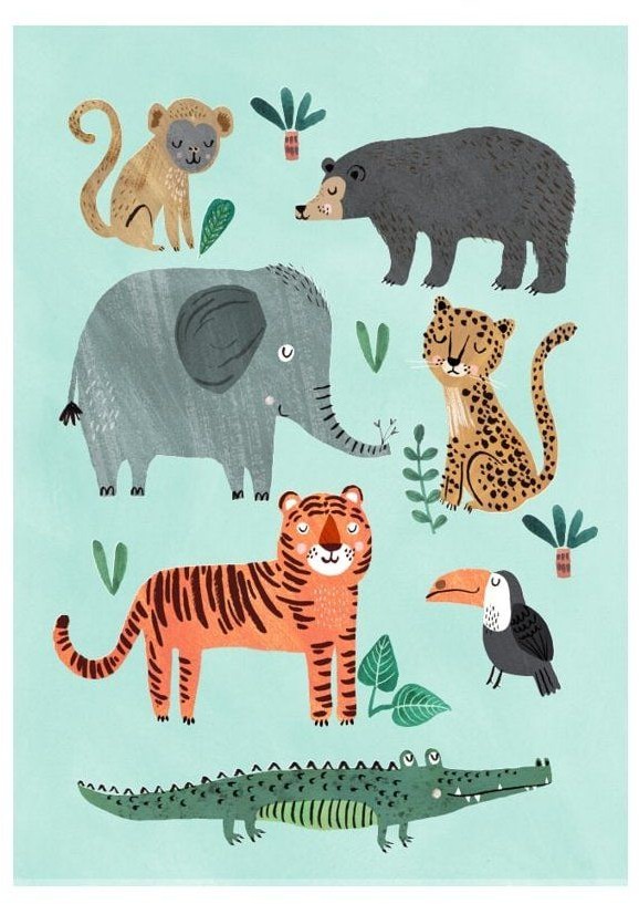 Petit Monkey Petit Monkey - Poster Wild Animals 70 x 50 cm