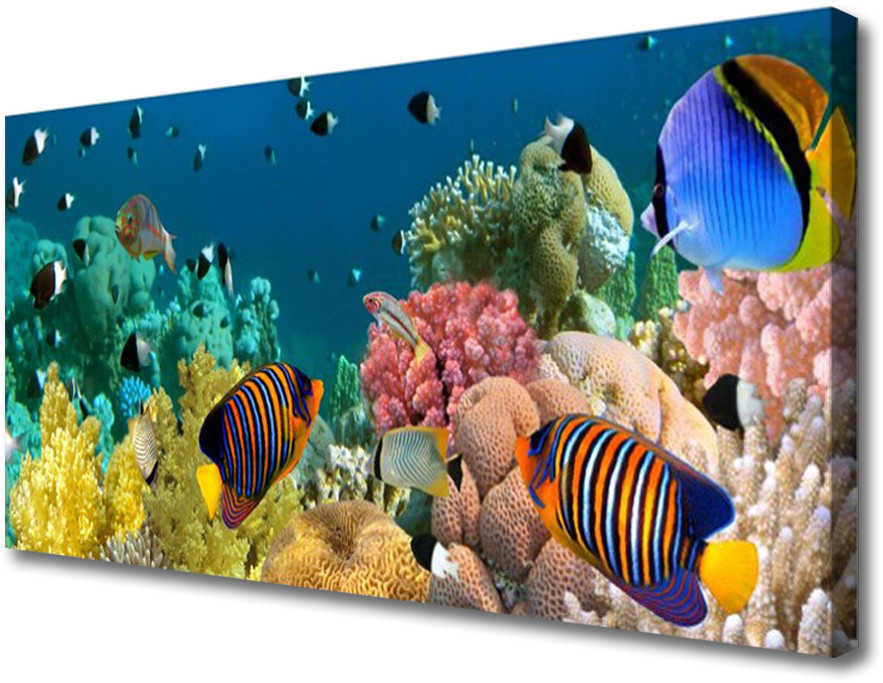 PL Tulup Obraz na Płótnie Rafa Koralowa Natura 100x50cm