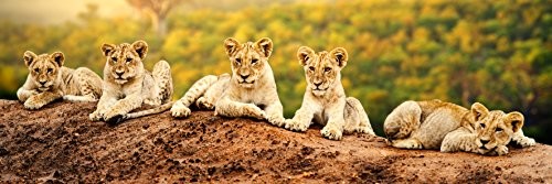 Pro-Art-Bilderpalette Pro-Art g1862s obraz ścienny Giclee 